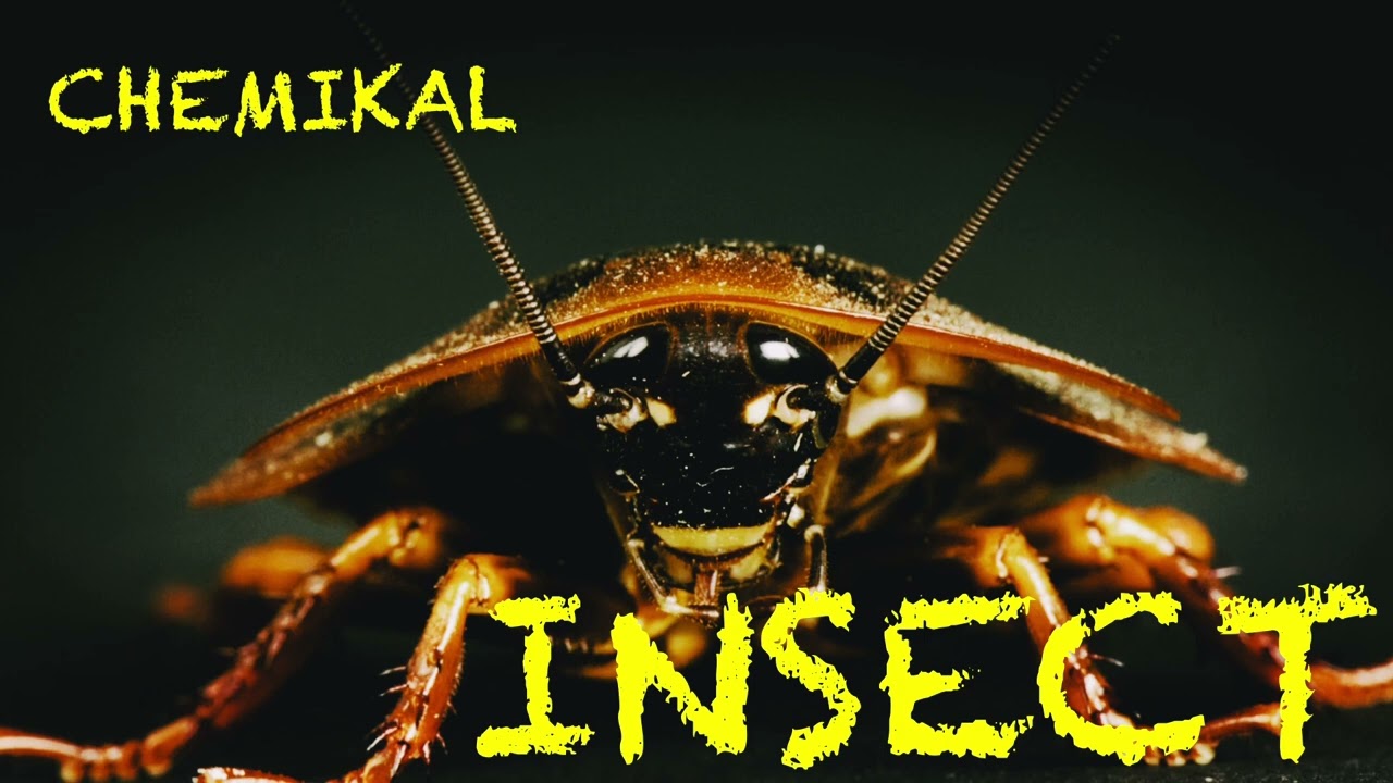 CHEMIKAL - 