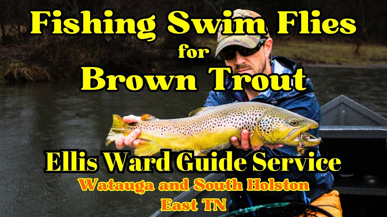 Fly Fishing for Brown Trout in East Tennessee with Ellis Ward Guide Service