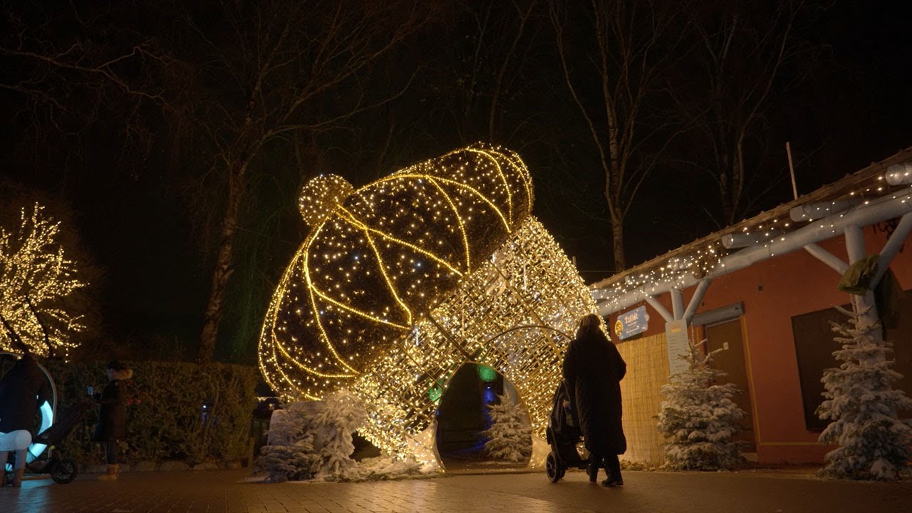 Aalborg Zoo - Jul i Zoo