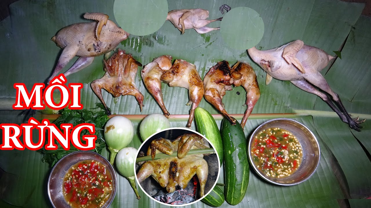 MÙA NÀY GÀ RỪNG BÉO LẮM, RÌNH SĂN GÀ RỪNG NGỦ TRÊN CÂY