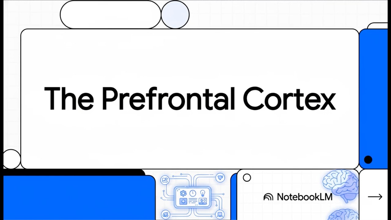 Psychedelic Neuroanatomy: Prefrontal Cortex (PFC)(StatPearls; 5 min)*