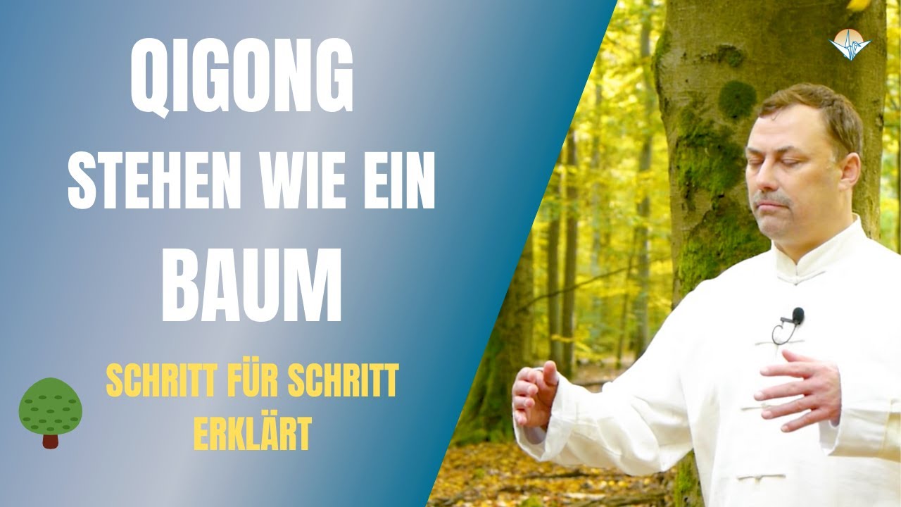 🌳 Qigong - Stehen wie ein Baum 🌳 Schritt für Schritt erklärt!  #ZhanZhuang #Qigong 🐲
