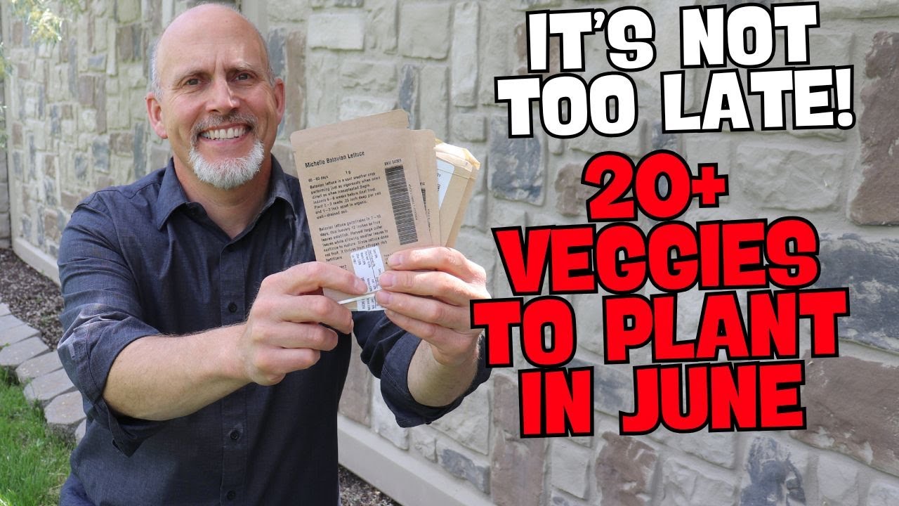20+ Vegetables You Can Still Plant in June