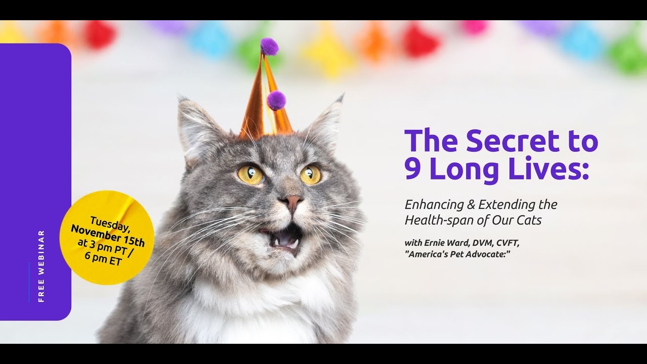 The Secret to 9 Long Lives: Extending the Health-span of Our Cats