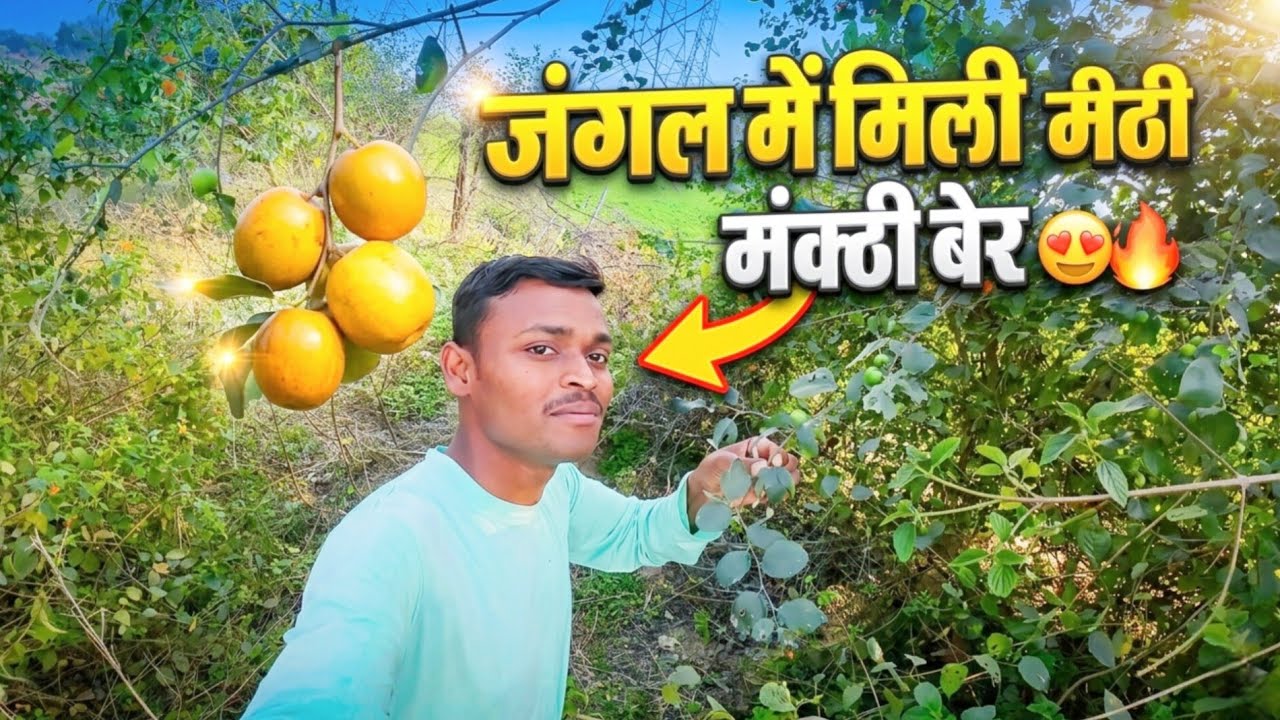 Jungle Mein Chhupa Hua Surprise! 😲🍏