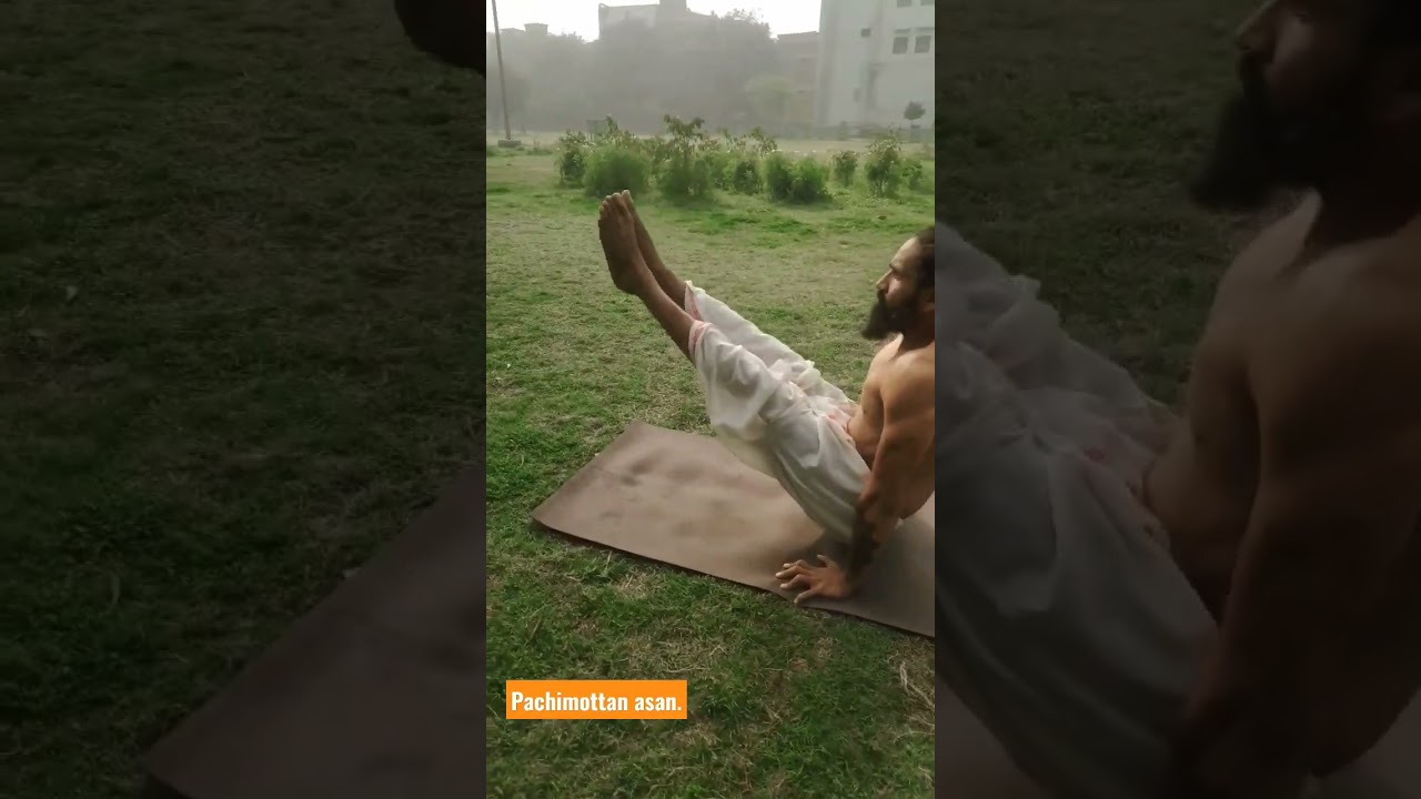 #shortvideo #yogi #yoga #hatayoga #ashtangayoga #babaramdev #shorts #youtubeshorts #yogsutra