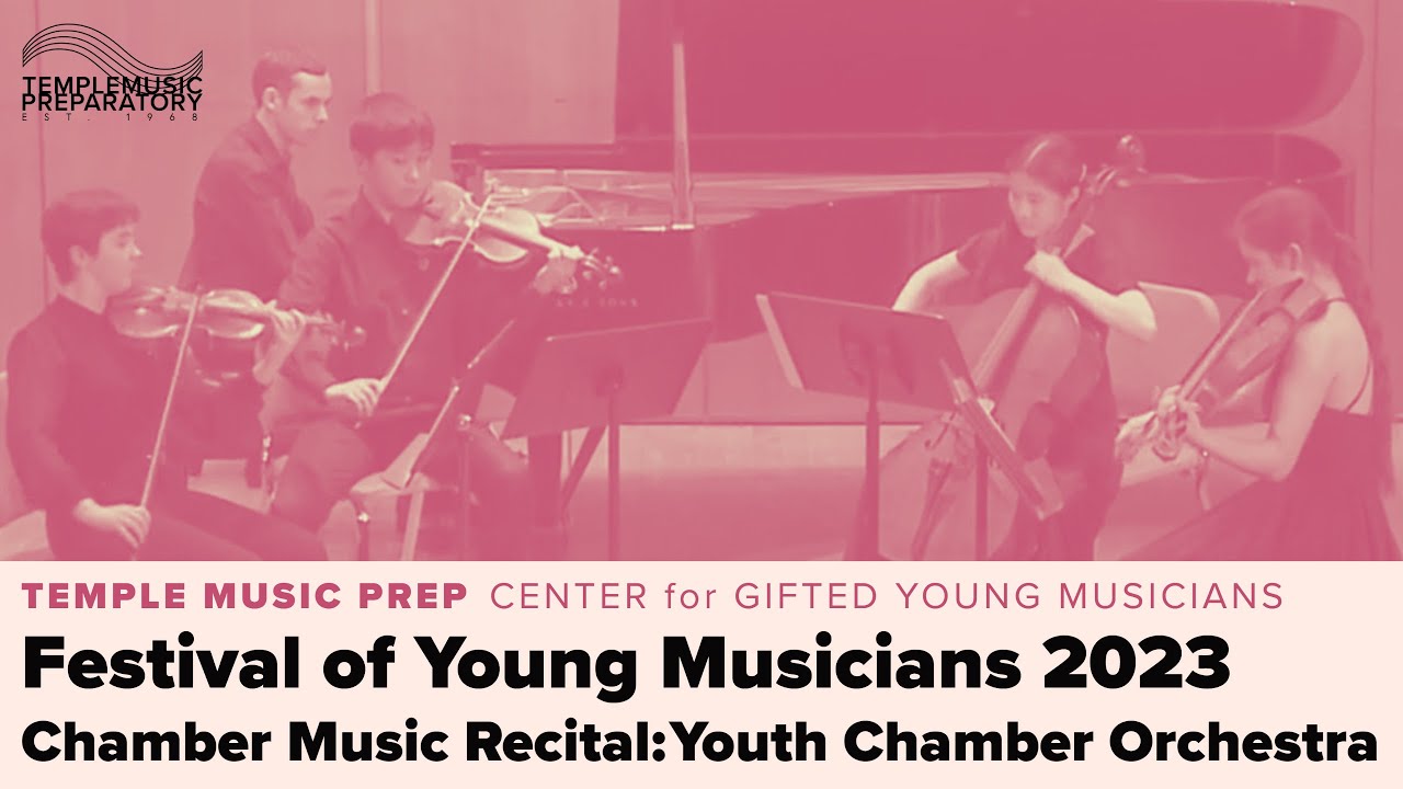 Festival of Young Musicians: Youth Chamber Orchestra - Chamber Music Recital