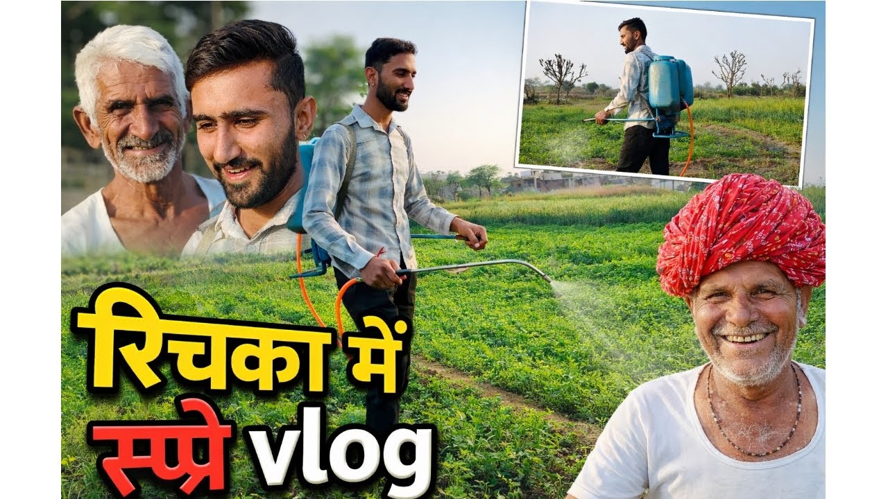 रिचका में स्प्रे vlog | रिचका में दवाई का छिड़काव 🌾