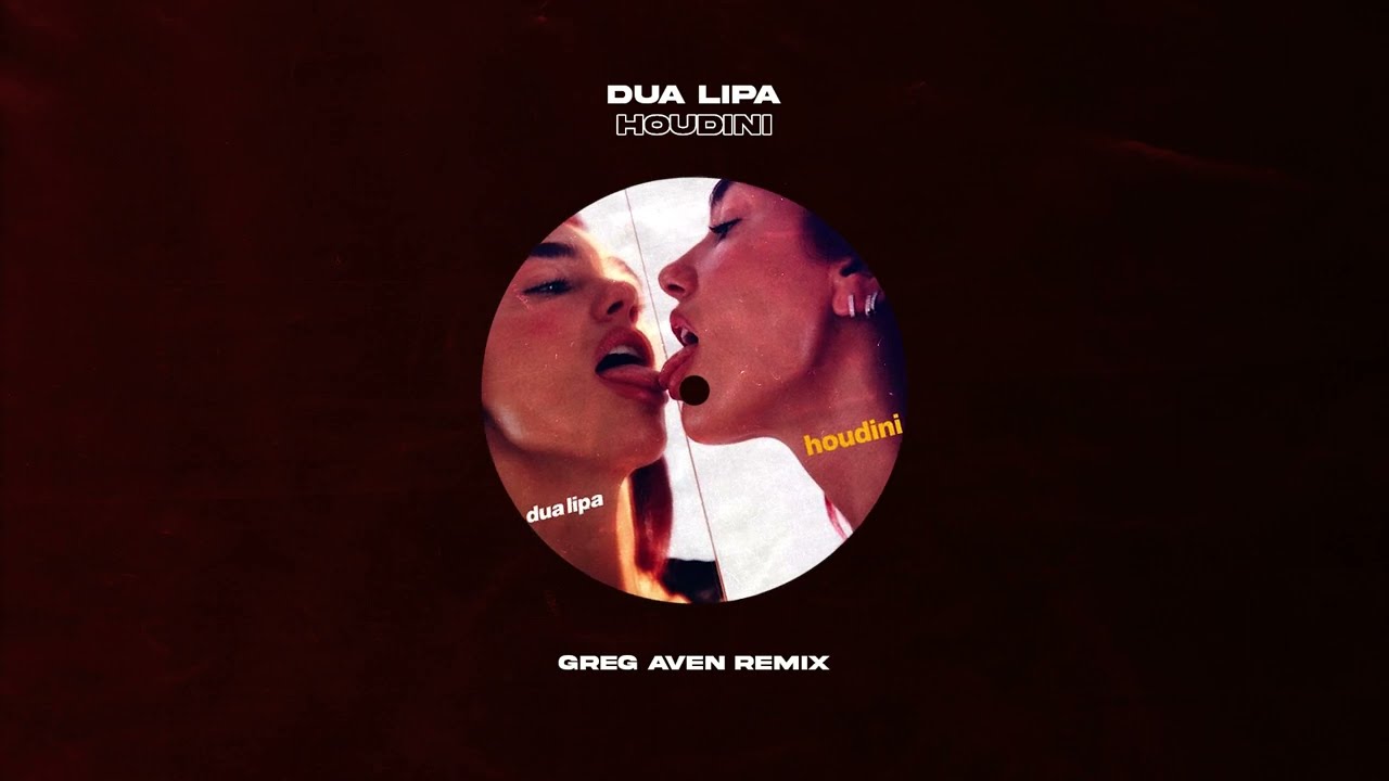Dua Lipa - Houdini (Greg Aven Remix)