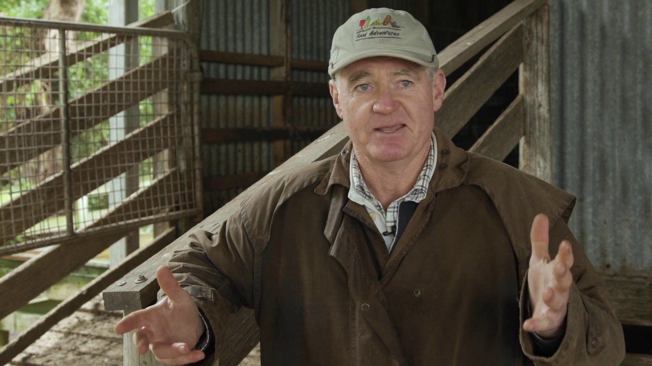 Jenny & Paul O’Sullivan, Beef & Lamb Producers, South Gippsland VIC