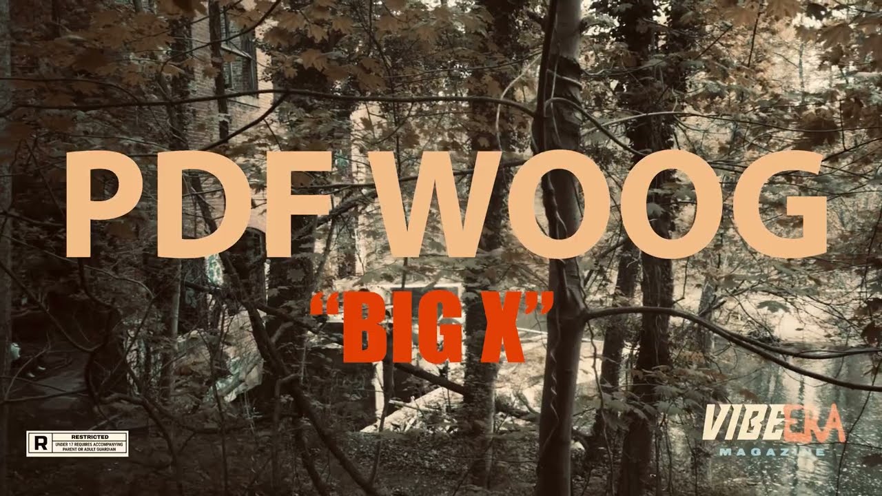 PDF Woog - BIGX (Official Video)
