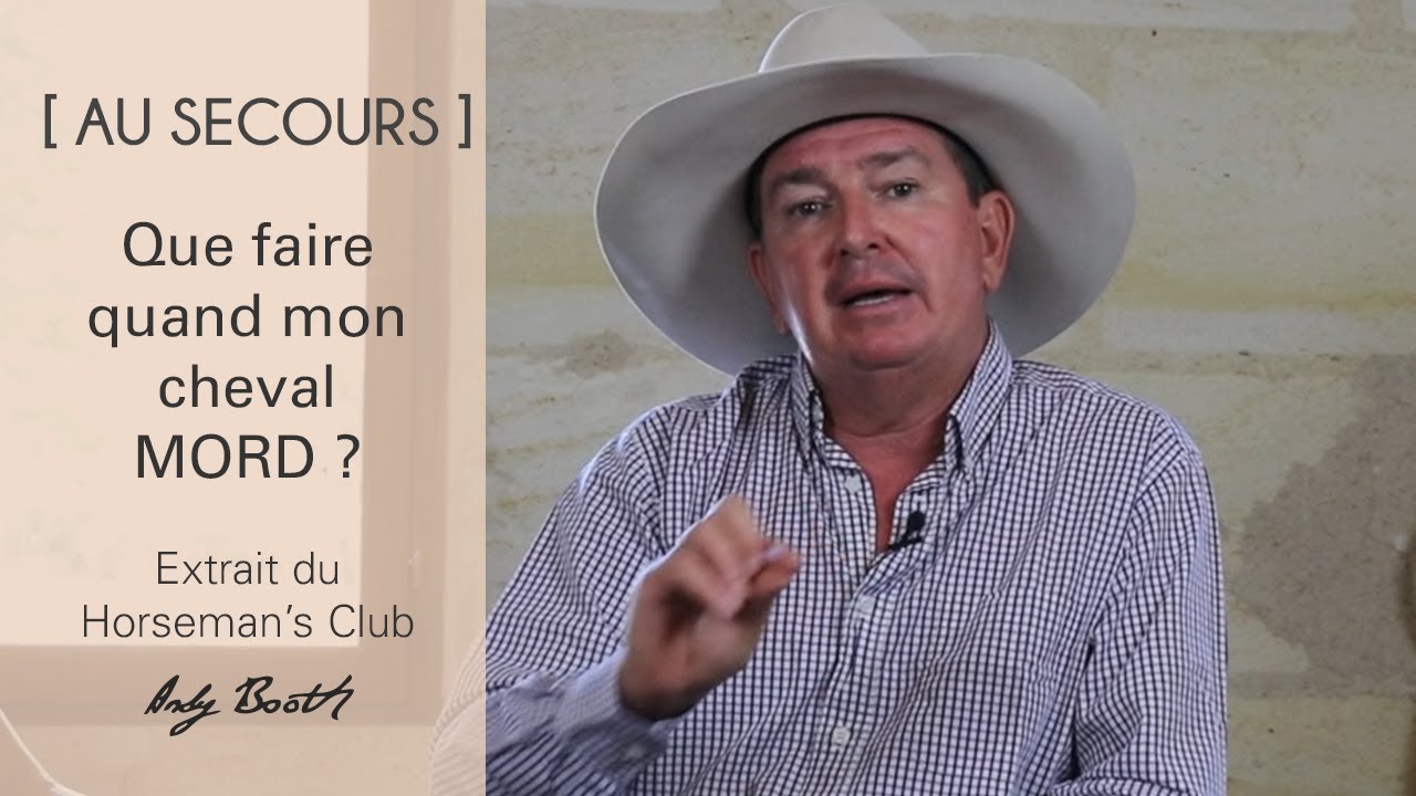 [Au secours] Que faire si mon cheval mord ?