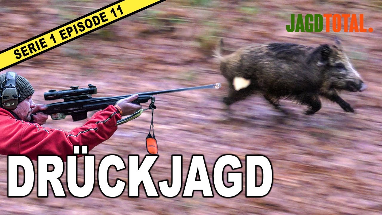Sauen auf Dr&uuml;ckjagd | JAGD TOTAL - S1 Ep 11