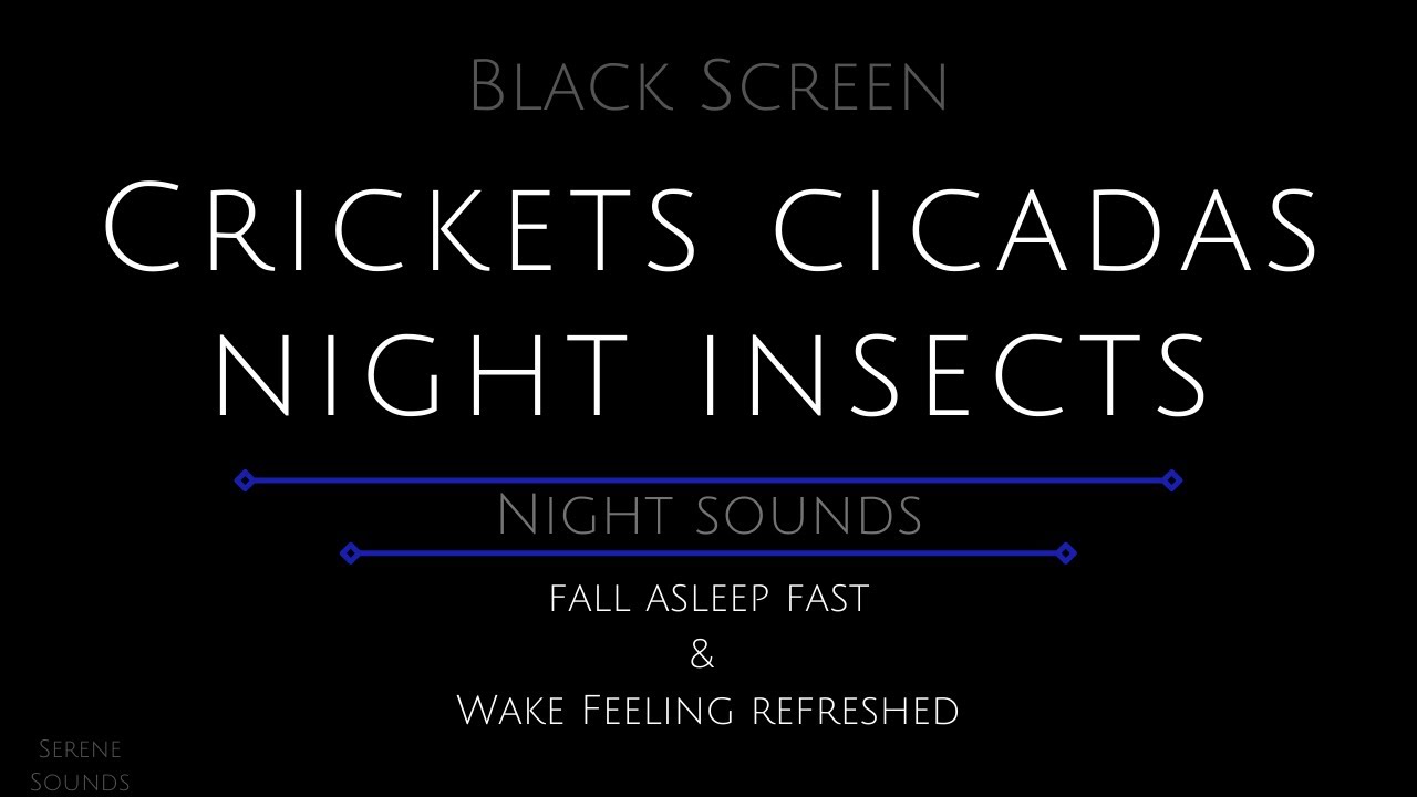 10 Hours - Crickets and Cicadas - Summer Night Sounds - Crickets for Sleeping - Cicadas - Crickets