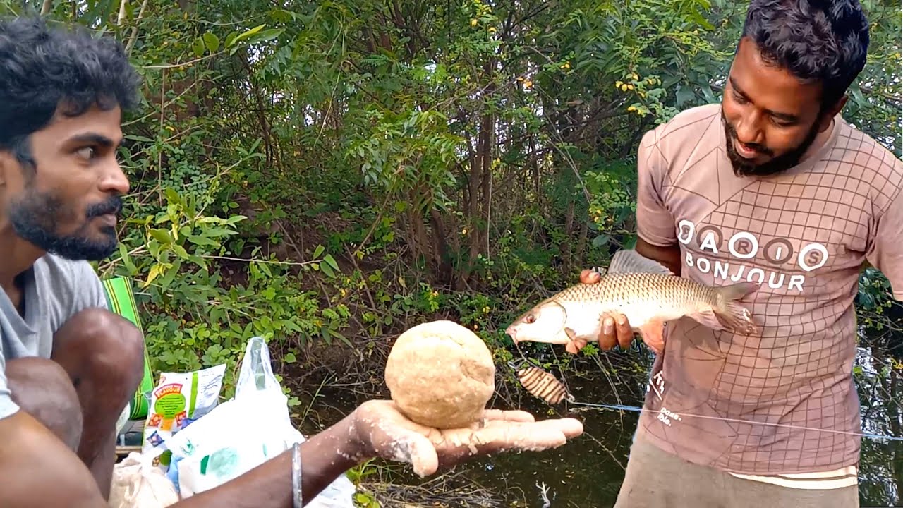 💯Fishing Bait | Best bait video | Amazing Big Rohu Fishing Incredible Red Bellied Fishing Ball set