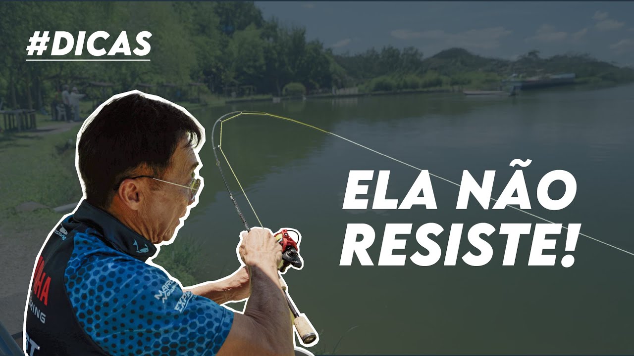 O SEGREDO para PESCAR TILÁPIA COM MOLINETE! #pescaria #dicas #tilapia #pesqueiro