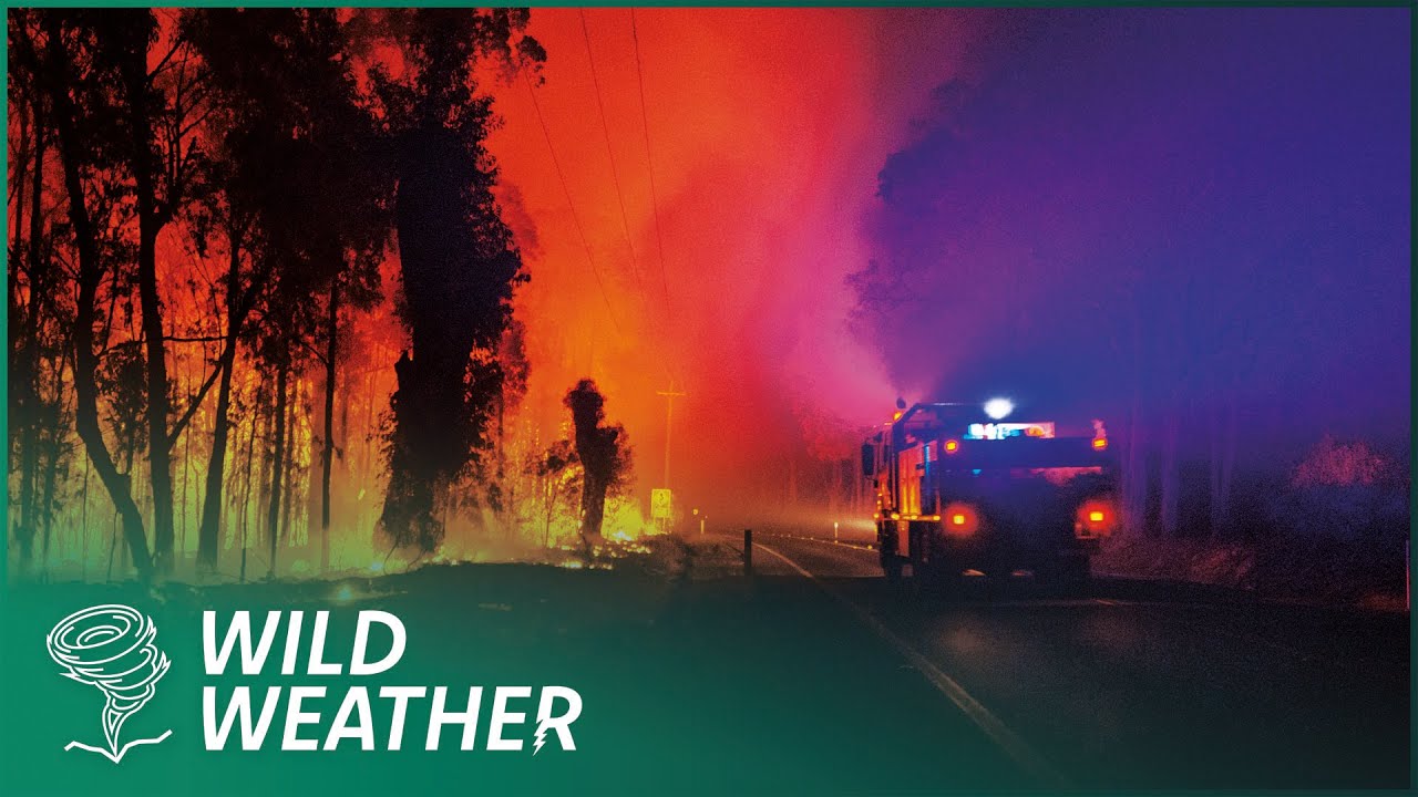 The Devastating Impact Of Australia's Wildfires | Hellfire: The Battle For Cobargo