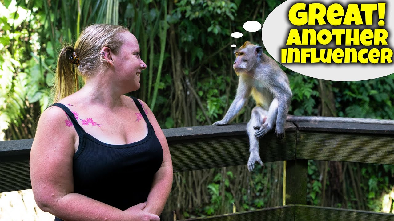 When Plans Don't Work Out? (Festivals & Ubud Monkey Forest)
