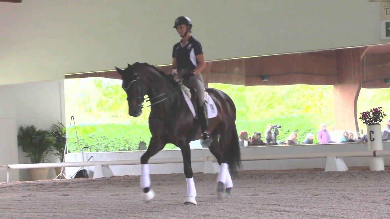 Jo Hinnemann & Heather Blitz: Using Exercises to Get Your Horse Rounder