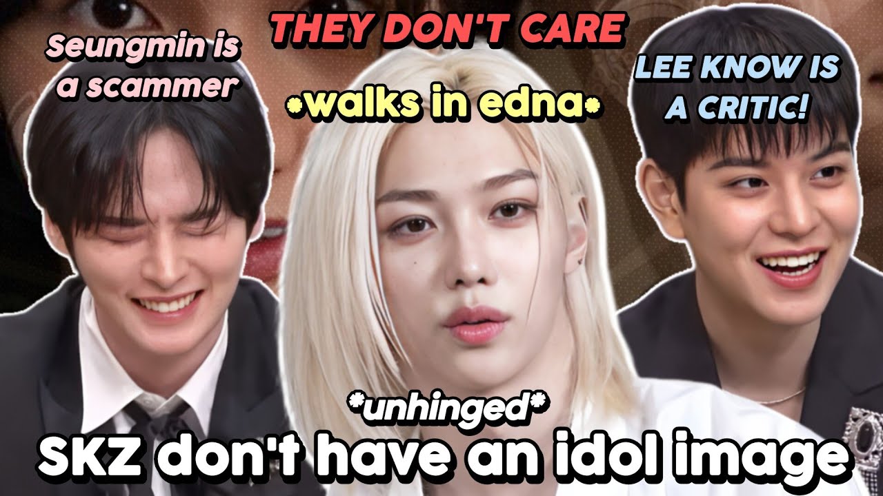 Stray Kids DON'T have an IDOL IMAGE #1