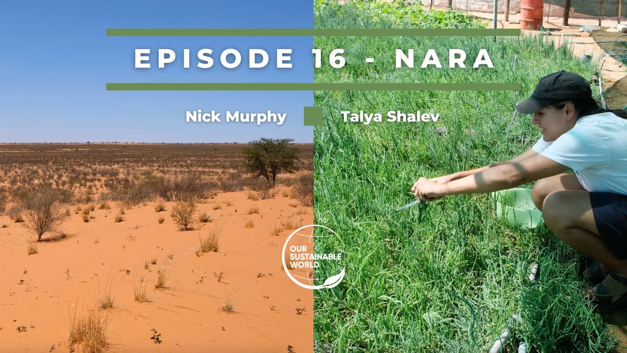 Nara - Can You Really Farm The Desert?