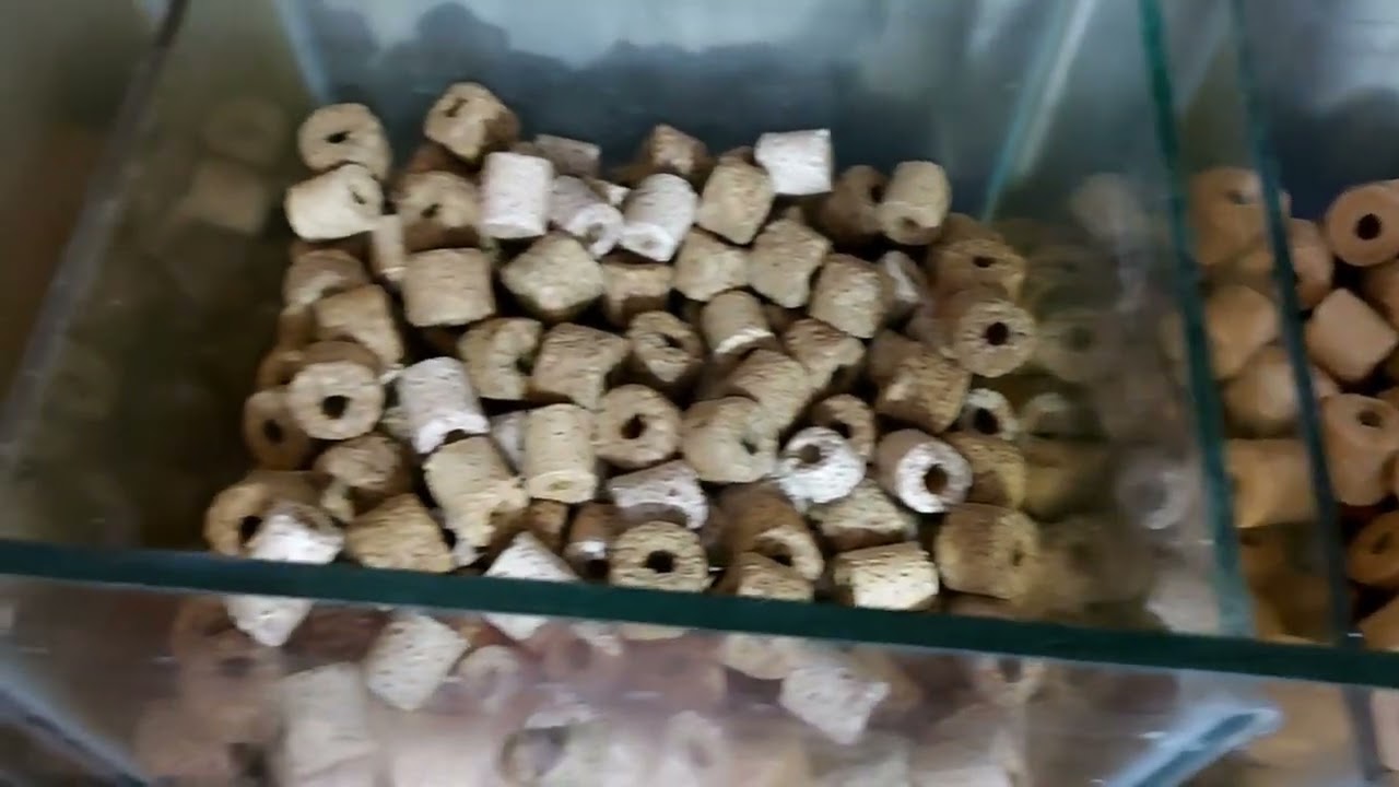 linis filter/after 6mos