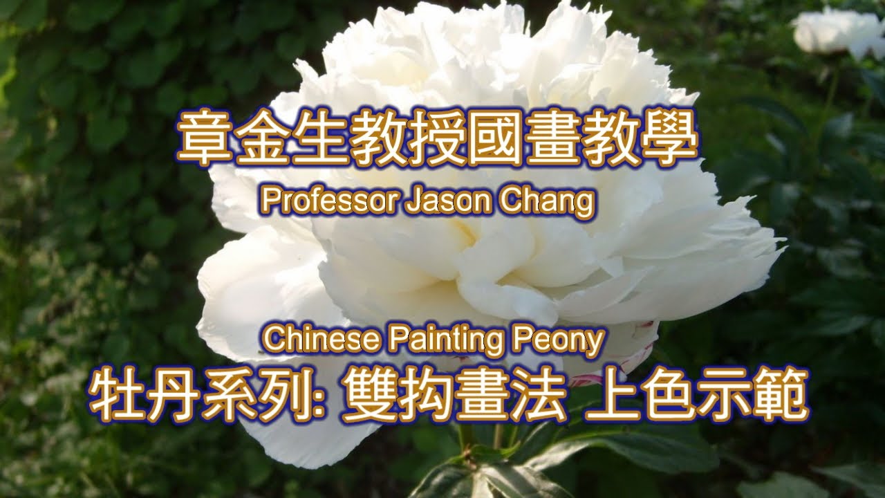 章金生教授國畫教學  牡丹花瓣結構解析, 以及寫意雙抅畫法與上色示範. Chinese Painting Peony