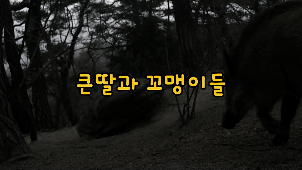 큰딸과 꼬맹이들