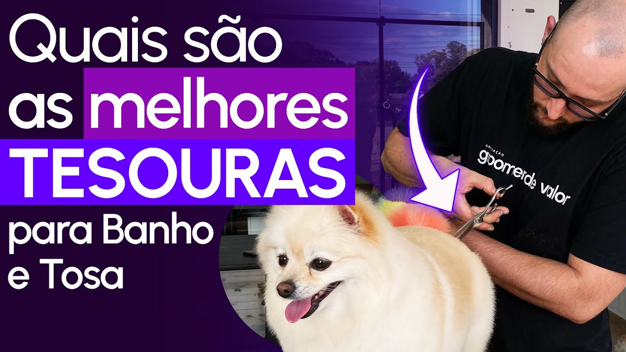 Quais são as melhores tesouras para Banho e Tosa - Junior Borja