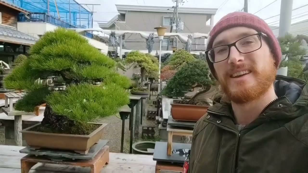 Viveiro de Bonsai Japonês - Fujikawa Kouka-en Nursery - Japanese Bonsai