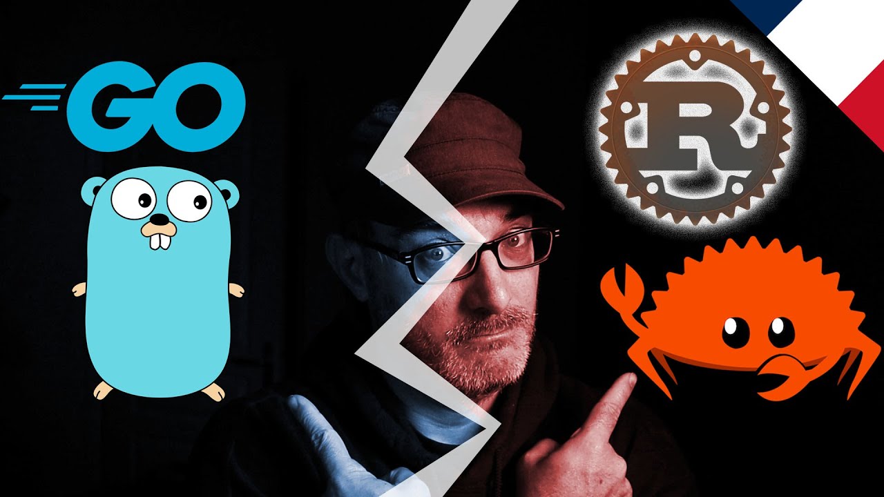 Go vs Rust lequel apprendre en 2024 ?