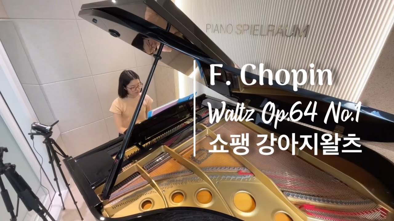 쇼팽 강아지왈츠 | F. Chopin Waltz Op.64-1 | 취미피아노추천곡