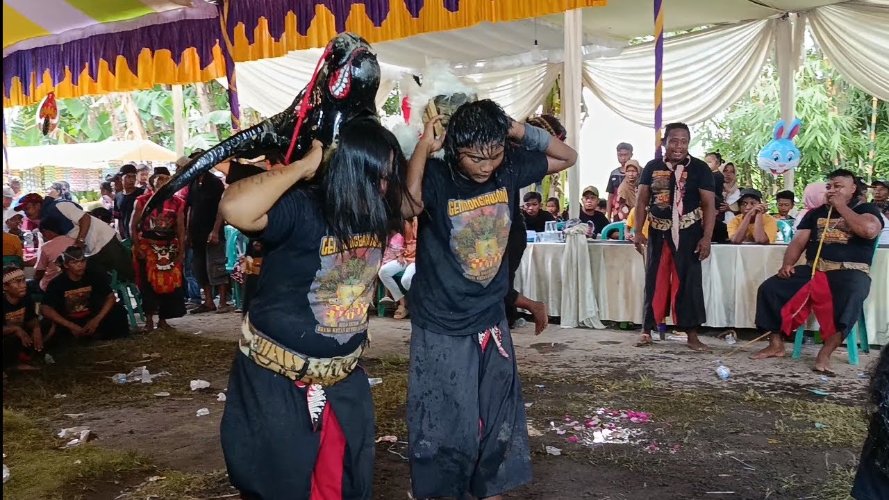 TERBARU❗BANTENGAN KALAP 