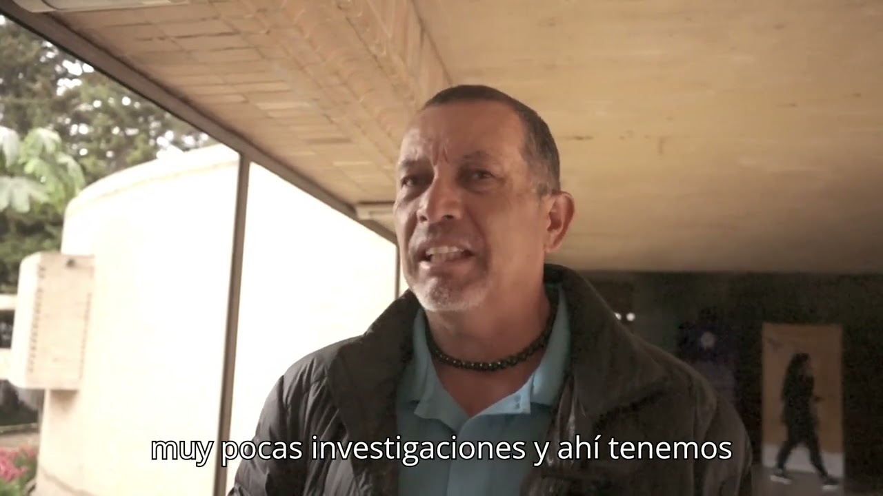 Perspectivas y Retos del Macrocaso 11: Análisis de la Violencia Basada en Género en la JEP