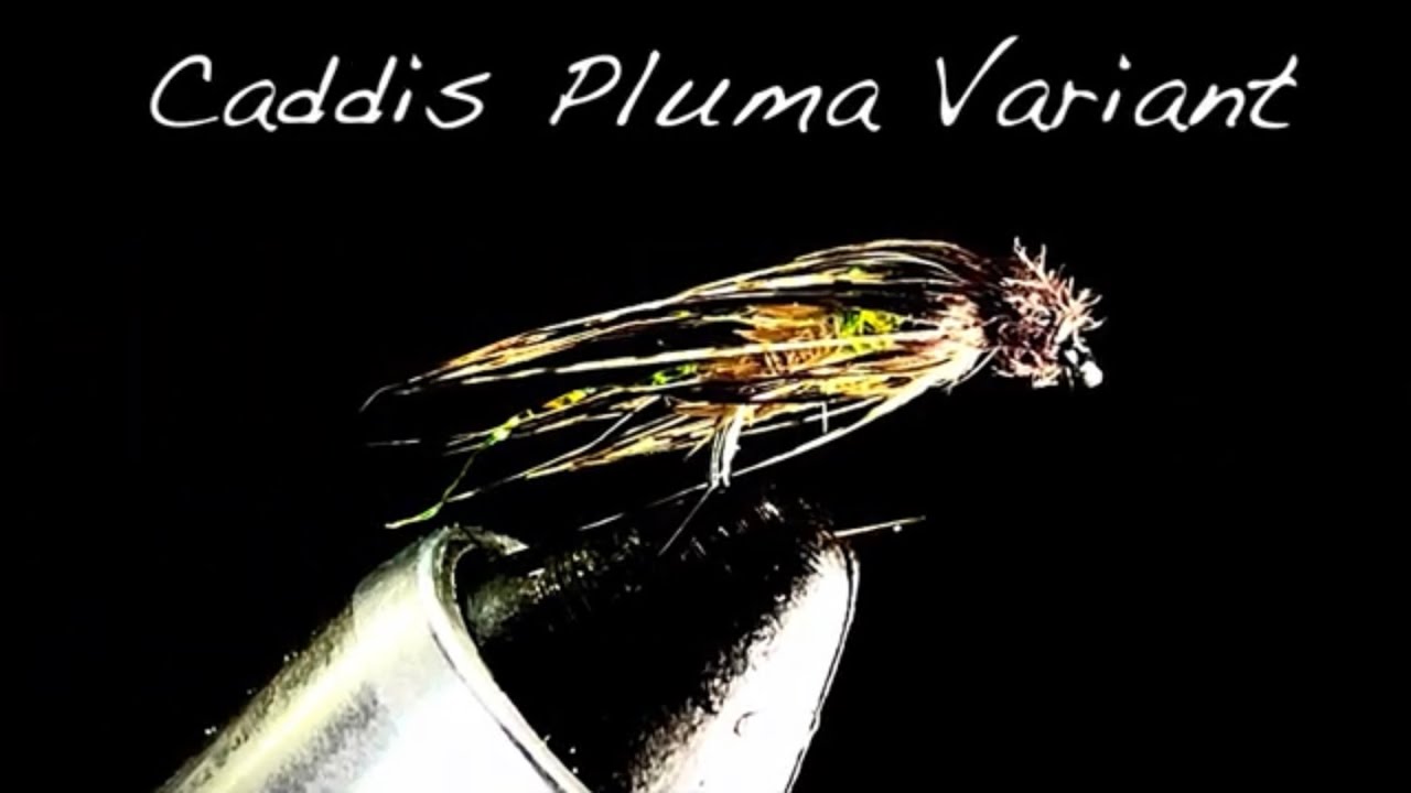 Caddis Pluma Variant