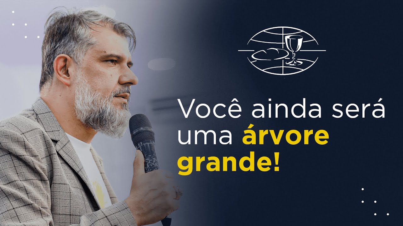 Você ainda será uma árvore grande ! | Ap Rodrigo Salgado