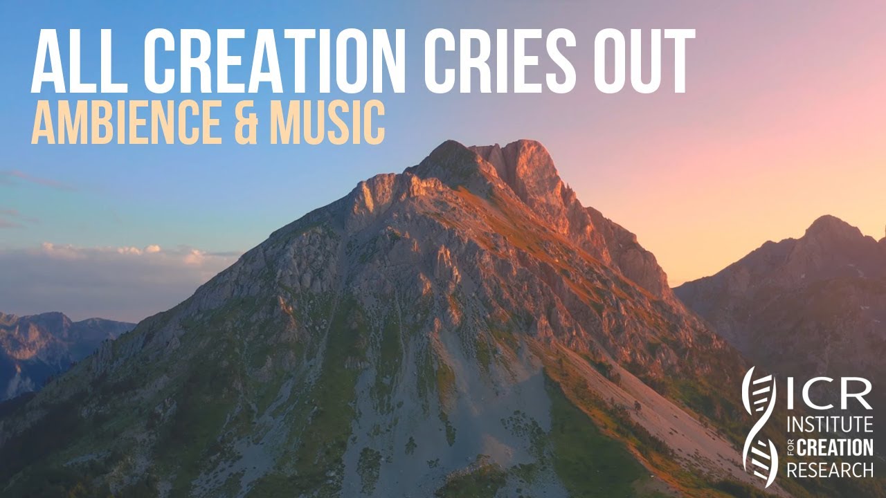 4K All Creation Cries Out Ambience & Music | Enjoy God's Creation