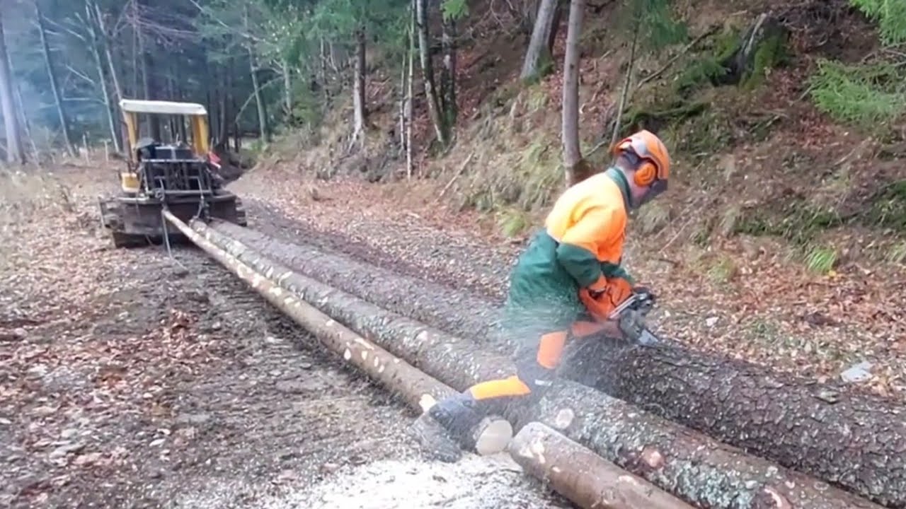 Spravilo lesa z goseničarjem