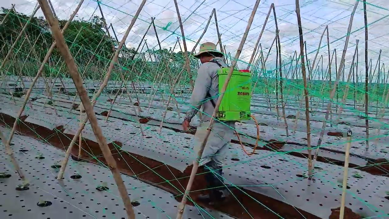 17 tháng 7, 2025