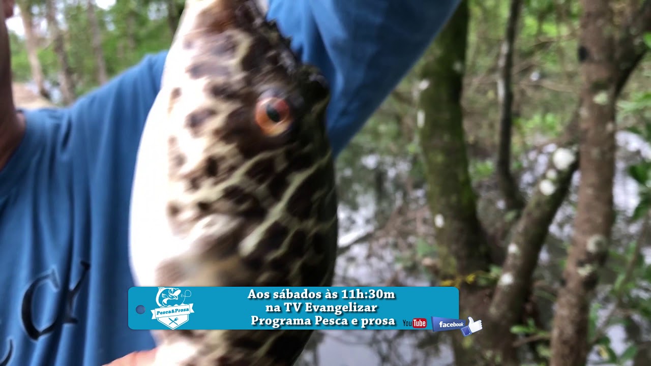 Chamada Programa Pesca e Prosa