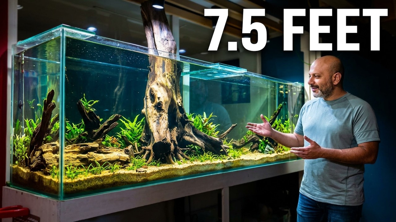 HUGE TREE IN AN AQUARIUM 😲 7.5ft Low Tech Planted Tank | FISH ON WHEELS 