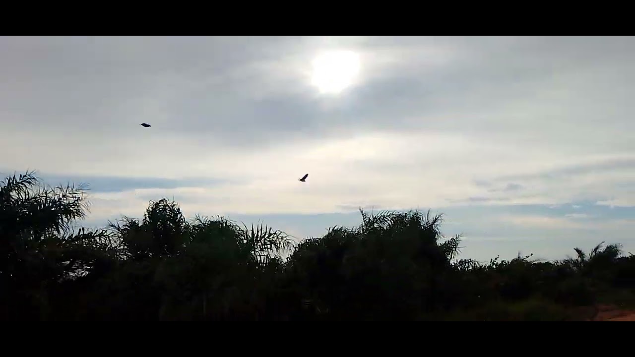Aldeia bojigao....terras indígenas barra velha xandó caraíva 