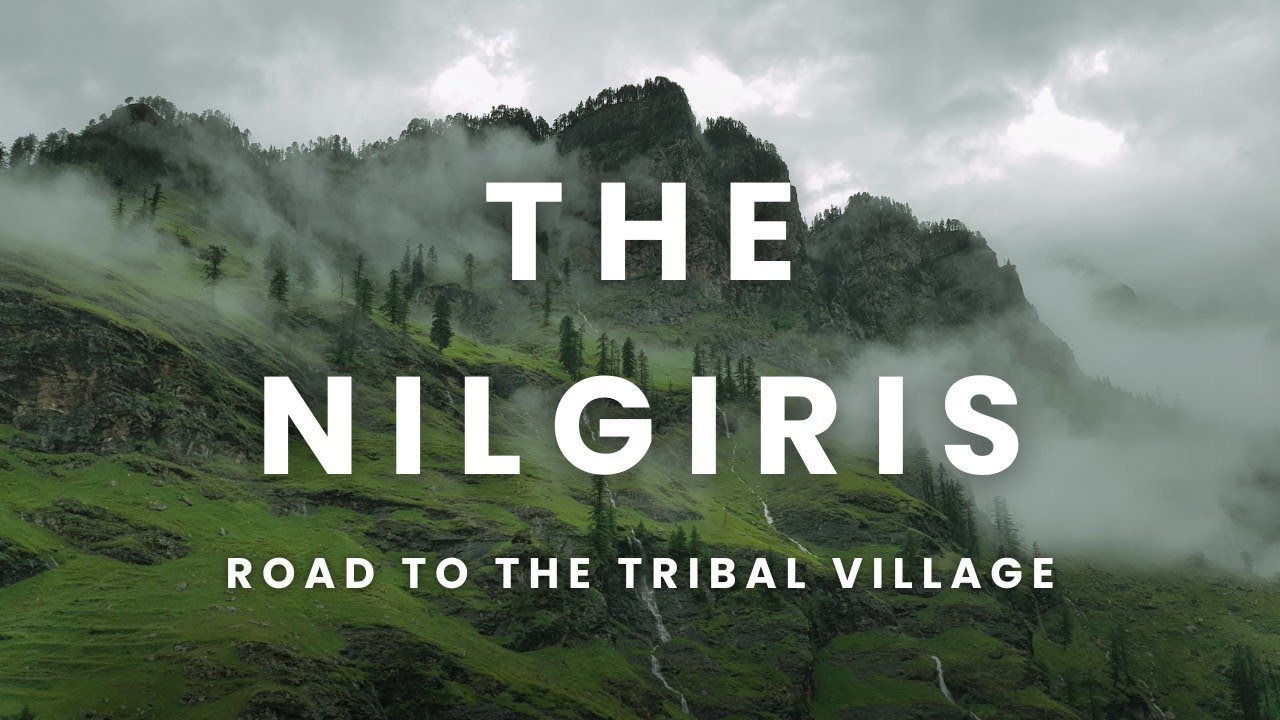 Road to tribal village, the nilgiris. Election Results will improve their lifestyle #election #tribe
