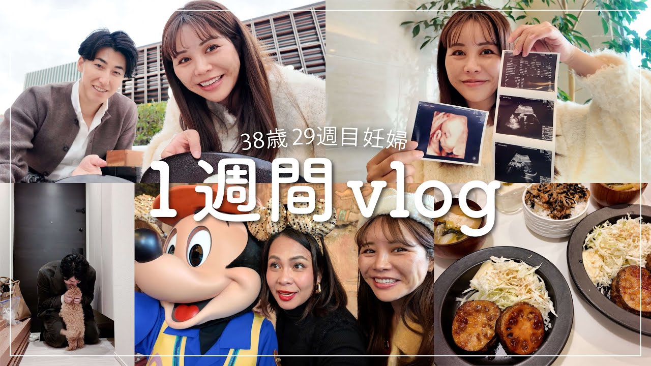 38歳29週妊婦の1週間vlog🤰✨｜妊婦検診/ディズニー/ランチ/美容