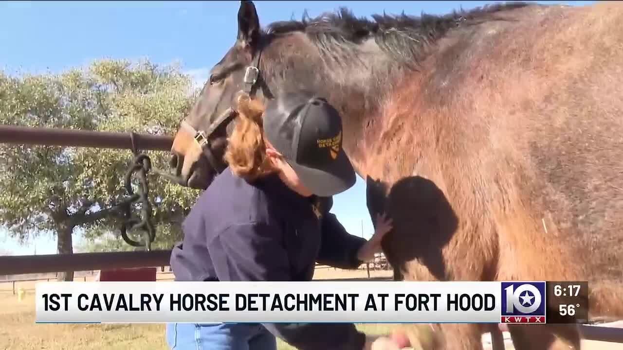 Soldiers with 1st Cavalry Division Horse Detachment speak after learning unit isn't going away