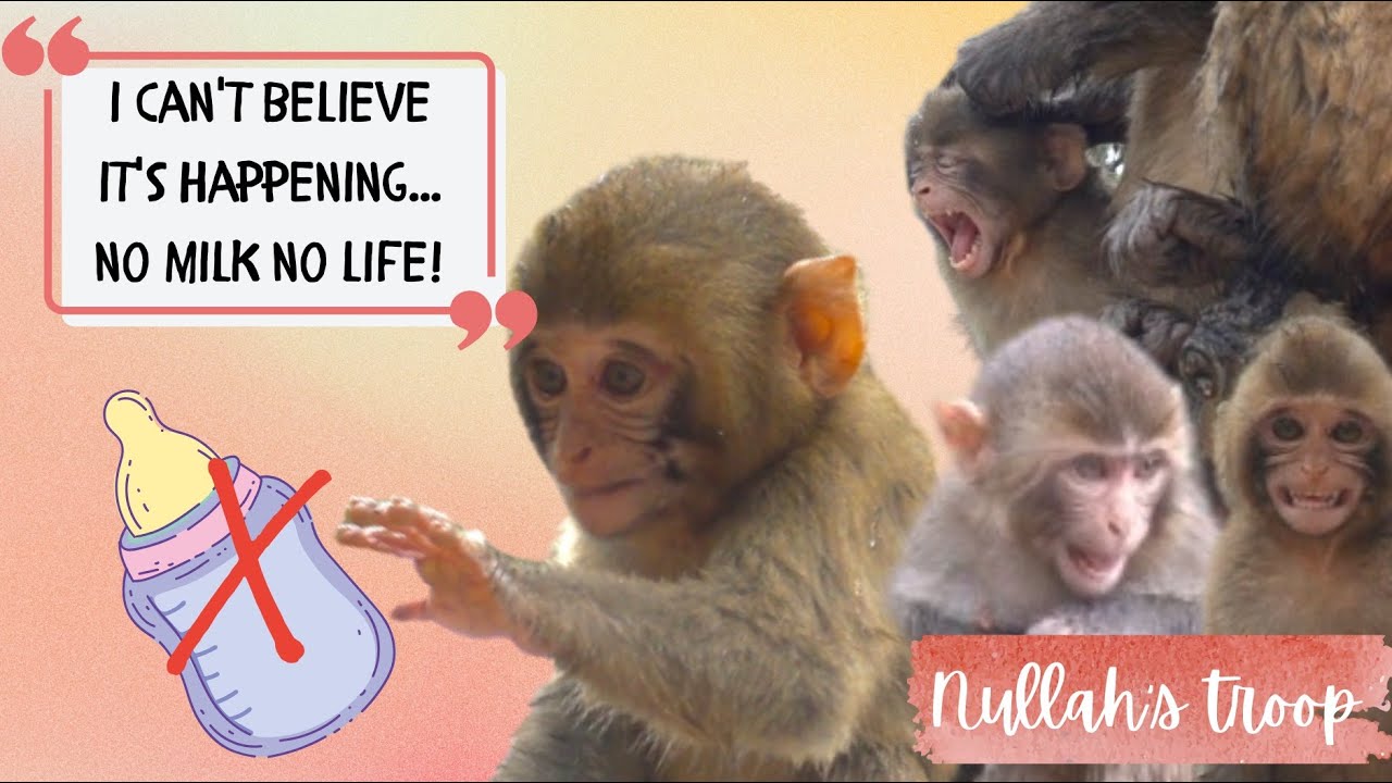 No milk no life? Oh babies, it's not the end of the world! 🫣🍼