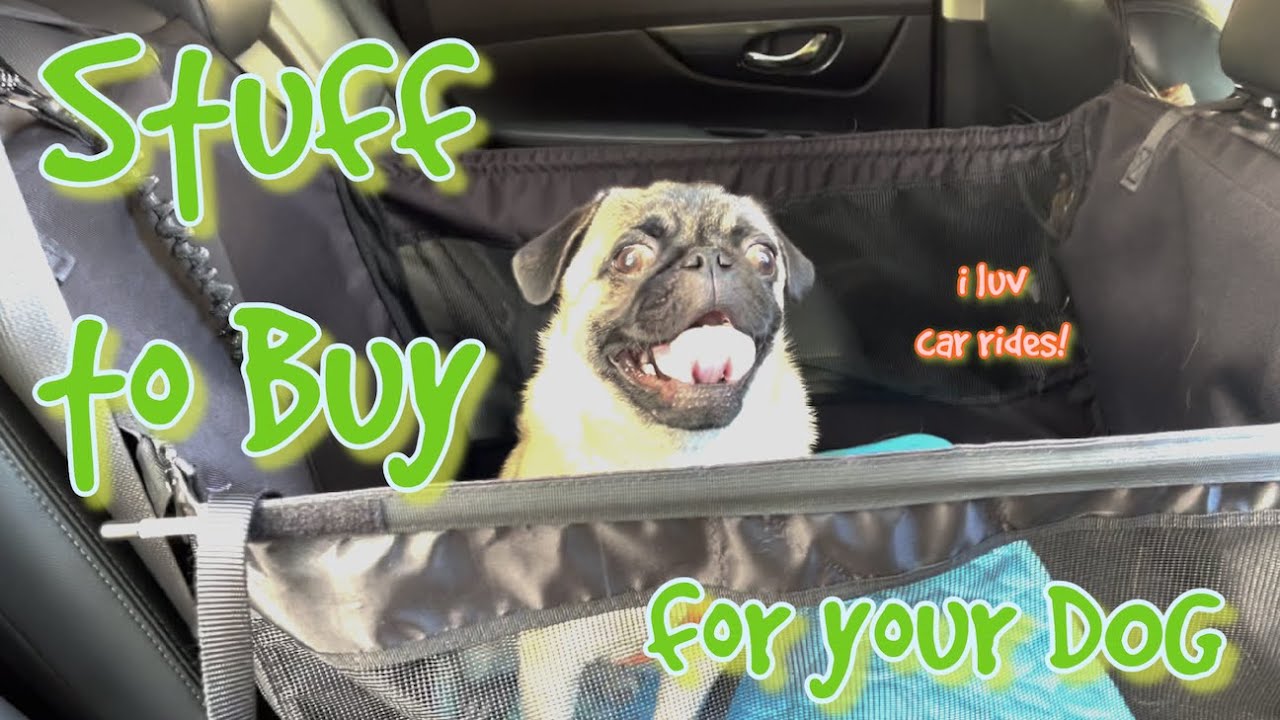Best dog accessories for your car!