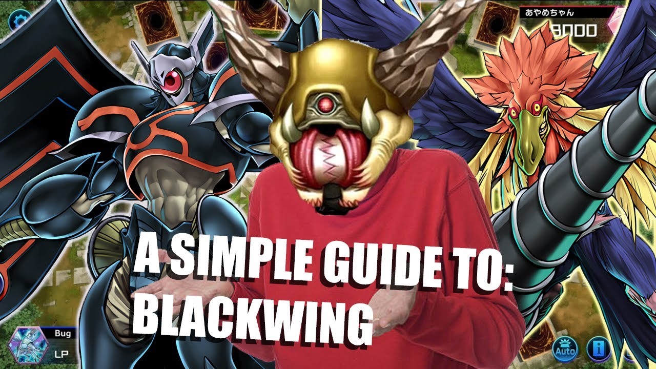 A Simple Guide To Blackwing  - Yu-Gi-Oh! Master Duel