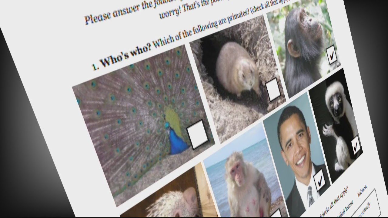 Roeper diversity head outraged at worksheet comparing Obama to monkeys
