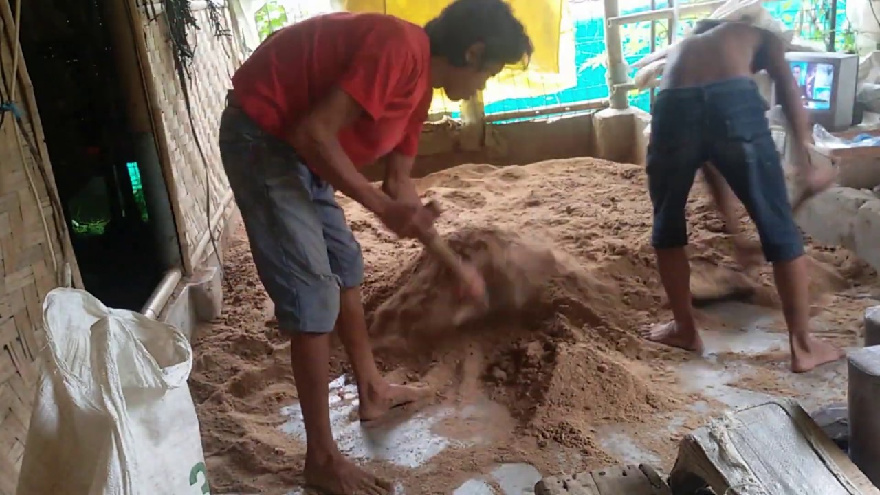 INI LHO CARANYA, Proses Budidaya Jamur Tiram (part 1)